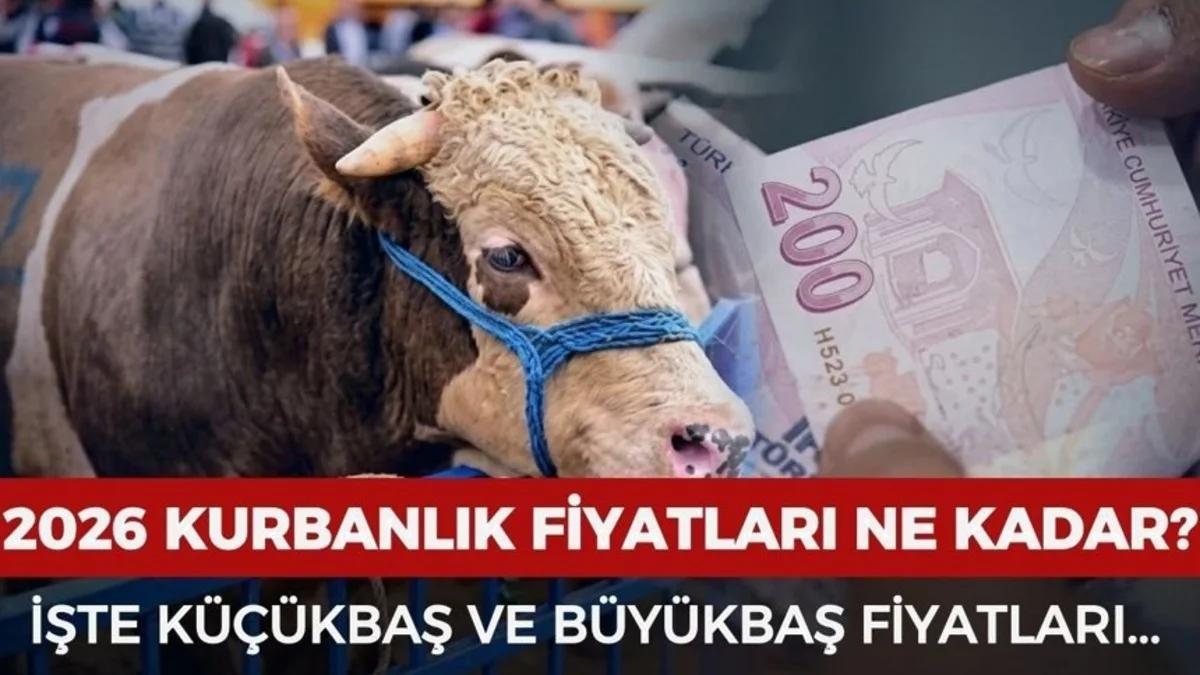 2026 Kurbanlık Fiyatları Kaç TL Oldu? Büyükbaş Ve Küçükbaş Güncel Liste - Ekonomi Haberleri