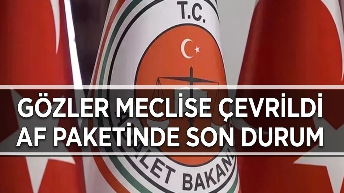 Af Düzenlemesinde Gözler Mecliste! Yargı Paketi Kimleri Kapsayacak?