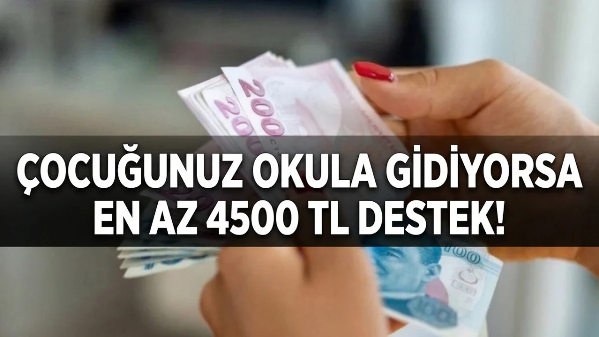 Aileler Dikkat: Çocuğunuza Her Ay En Az 4500 TL Ödenecek - Ekonomi Haberleri
