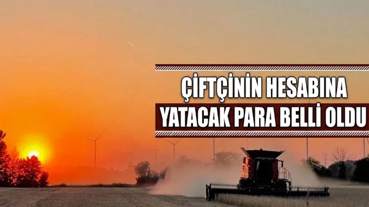 Çiftçi Ödemesine Kavuşuyor! Hesaplara Yatacak Para Belli Oldu - Ekonomi Haberleri