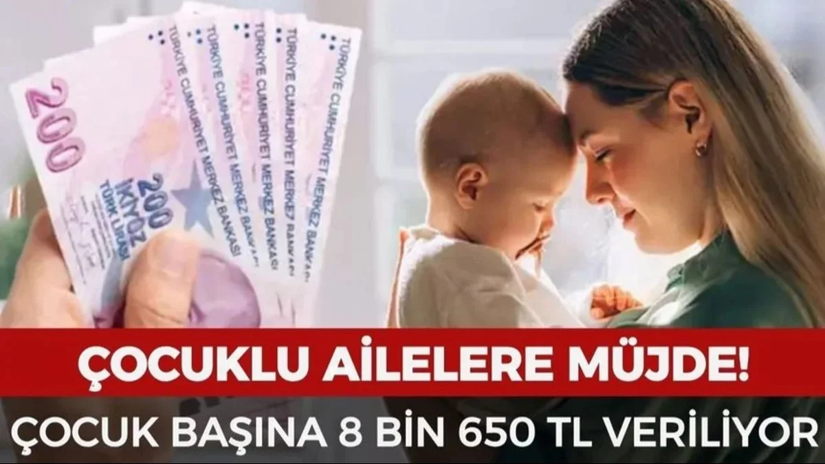 Çocuklu Ailelere 8.650 TL Destek! Devletten Yeni Sosyal Yardım Hamlesi