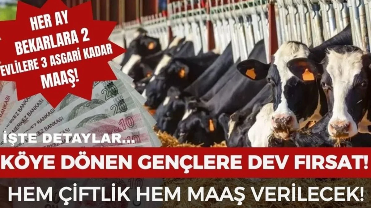 Gençler İçin Yeni Dönem! Köye Gidene Çiftlik Ve Maaş Desteği Geliyor