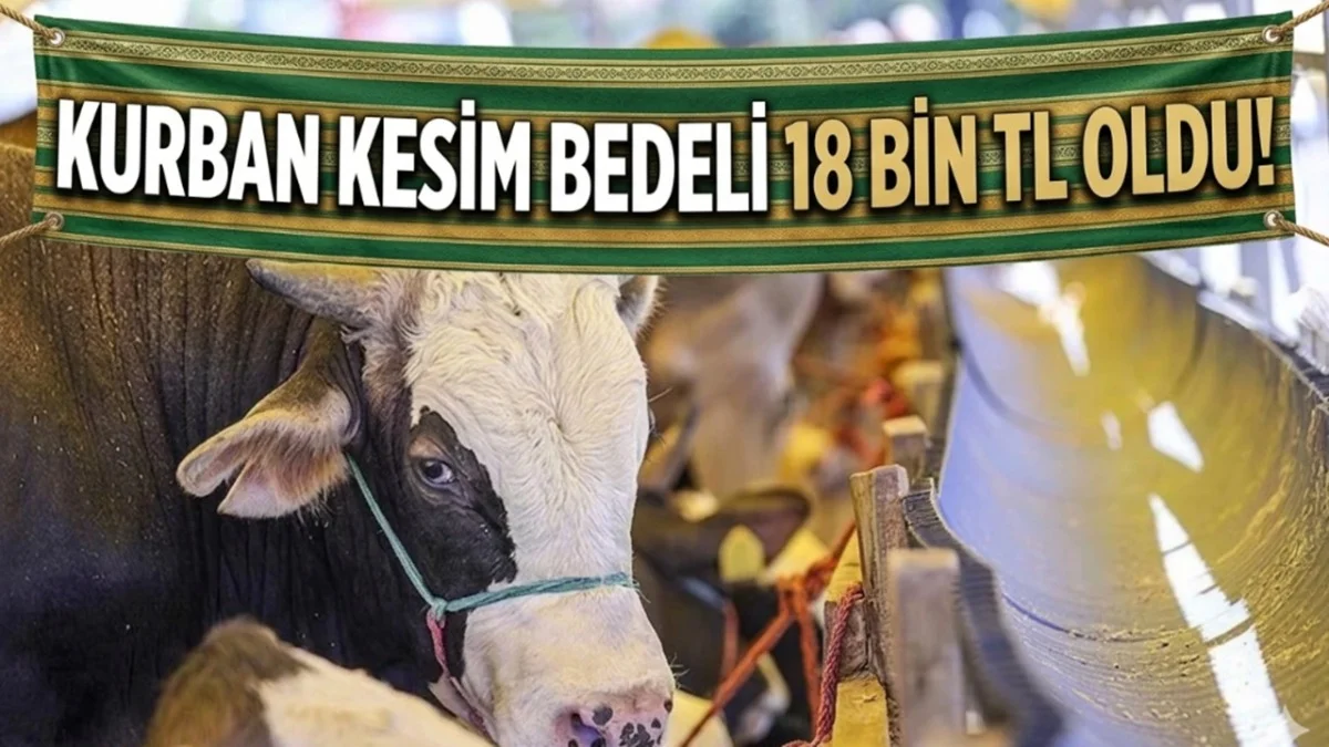 Kurban Kestirecekler Dikkat! 18 Bin TL Ödeme Gerekiyor! - Ekonomi Haberleri